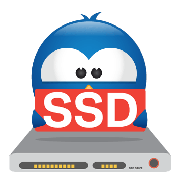 VPS SSD Plesk